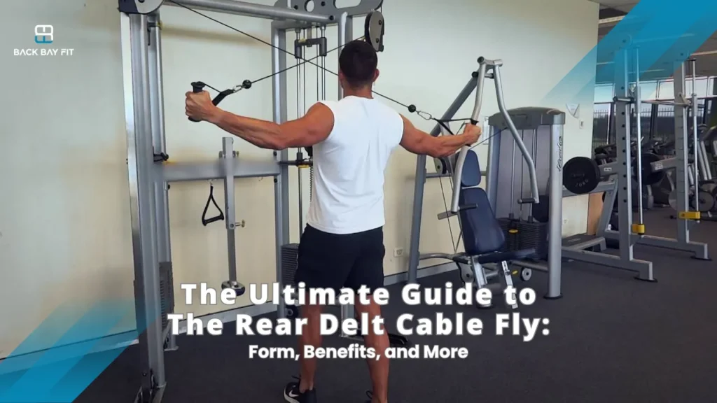 The Ultimate Guide to The Rear Delt Cable Fly