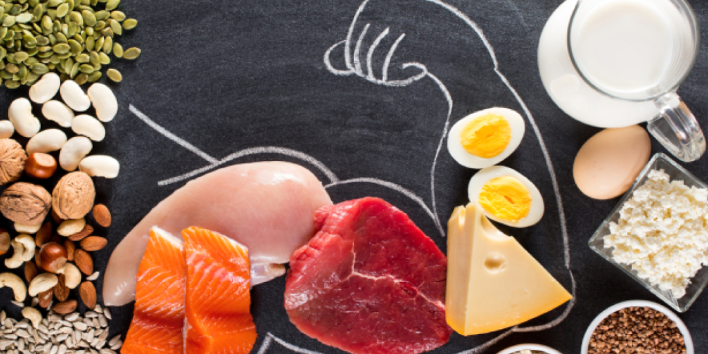 Protein for Muscles