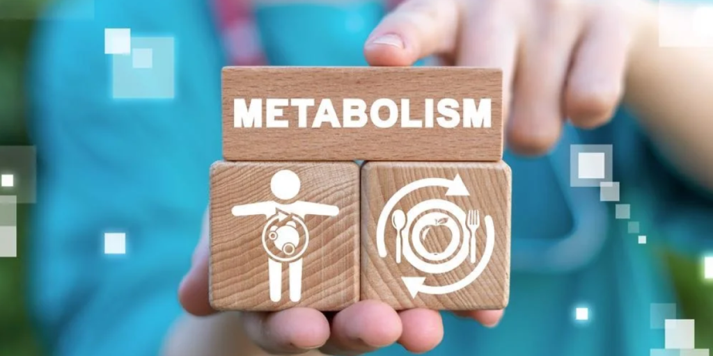 What is Metabolism