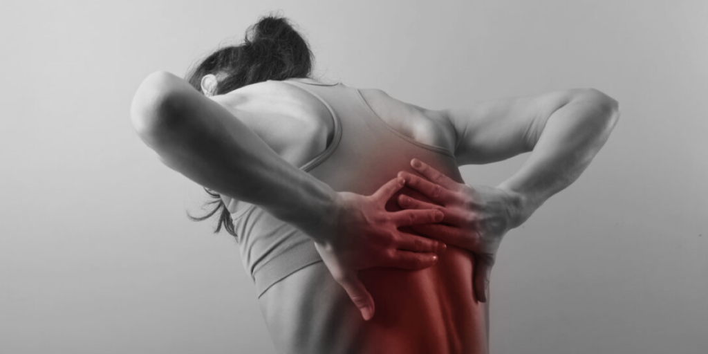 Key Anatomy of the Back